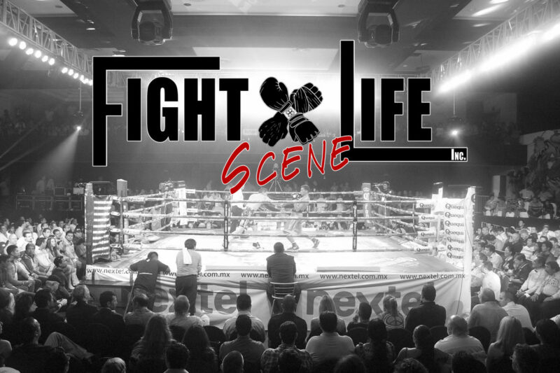 Fight Life Scene Network Videos